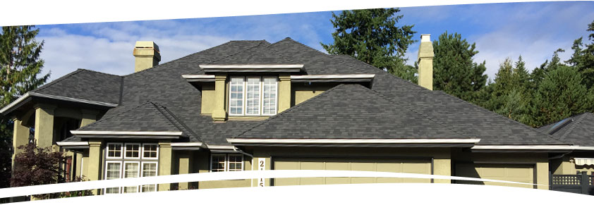 Delta Roofing Services